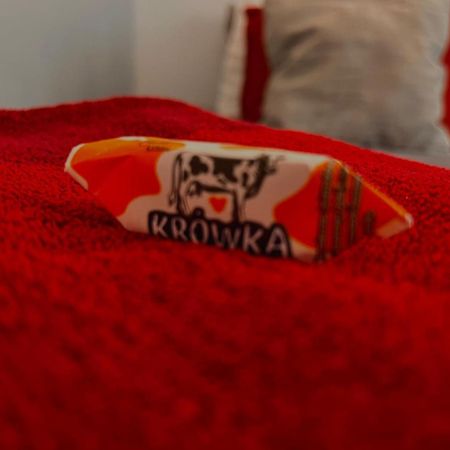 Petit 1 Bed Room Condo Warszawa Center Luaran gambar